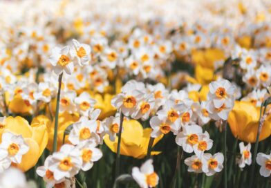 Jedna istina koju narcisi ne podnose: zašto im žena koja “progleda” ruši kontrolu i ego