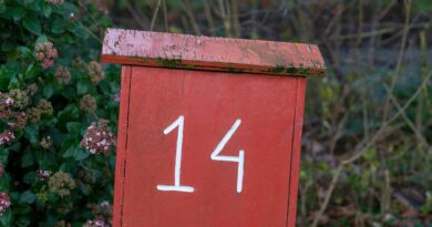 Od 14. aprila 2026. tri horoskopska znaka ulaze u period velike sreće: Da li ste među njima