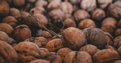 Mladi orah u narodnoj medicini: tradicionalna upotreba, recepti i šta je važno znati