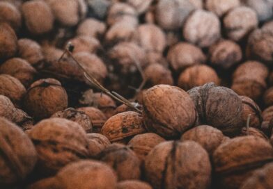 Mladi orah u narodnoj medicini: tradicionalna upotreba, recepti i šta je važno znati