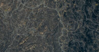 Prirodni napitak sa đumbirom, bijelim lukom i medom kao podrška zdravlju srca i krvnih sudova