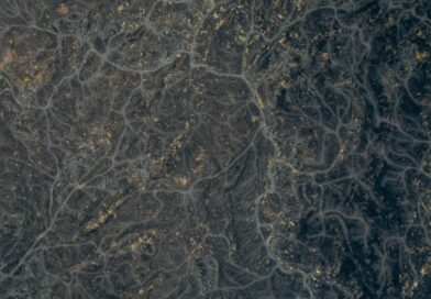 Prirodni napitak sa đumbirom, bijelim lukom i medom kao podrška zdravlju srca i krvnih sudova