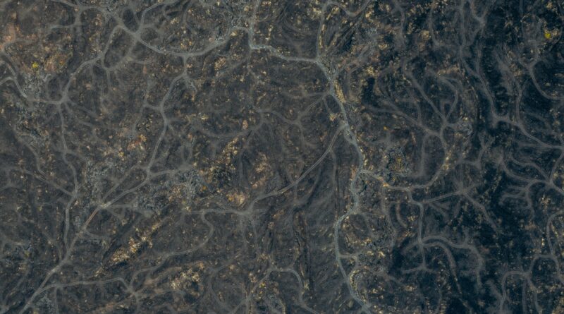 Prirodni napitak sa đumbirom, bijelim lukom i medom kao podrška zdravlju srca i krvnih sudova