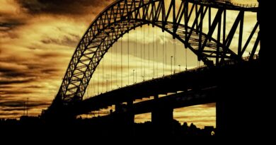 Zračni napadi pogodili ključnu infrastrukturu: Oštećen najviši most u Iranu