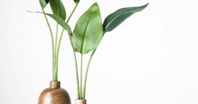 Prirodni recept i savjeti za intimno zdravlje: šta je važno znati prije primjene