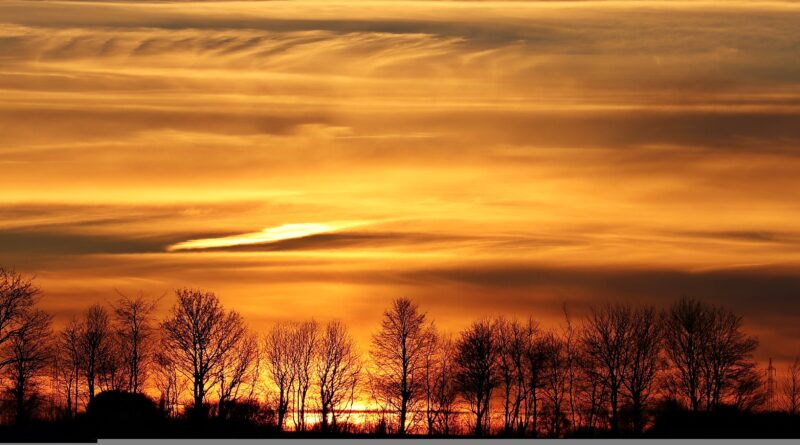 Bijeg koji je spasio život: priča o hrabrosti, novom početku i snazi odluke