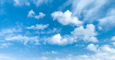 Kraj jedne fan priče posle šest godina: šta se dogodilo između Aleksandre Prijović i njene dugogodišnje podrške