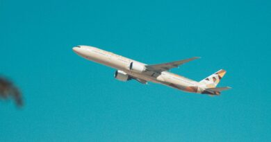 Neobican trenutak na letu: Kako je jedan gest smirio uplakanu bebu i promenio atmosferu u avionu