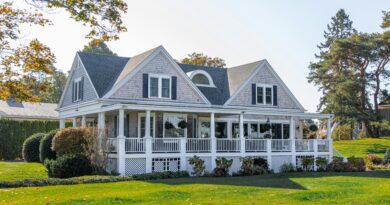 Pauk na pragu kuće: Narodno vjerovanje o novcu i kako ga razumjeti danas