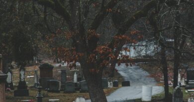 Istina sa groba: kako je jedna kamera otkrila ljubav koju roditelji nisu poznavali