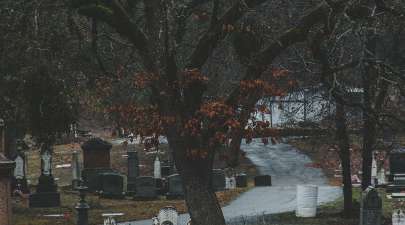 Istina sa groba: kako je jedna kamera otkrila ljubav koju roditelji nisu poznavali