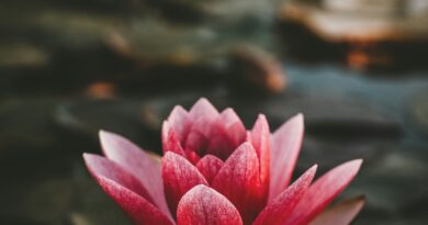 Astrološki preokret krajem aprila: kome 30. april donosi finansijske prilike i novu energiju