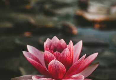 Astrološki preokret krajem aprila: kome 30. april donosi finansijske prilike i novu energiju