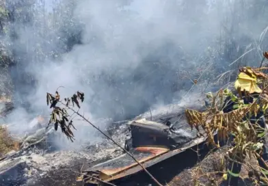 Tragedija u Teksasu: Pad malog aviona odnio pet života, pokrenuta istraga o uzrocima nesreće