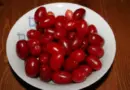 Dren: zaboravljena ljekovita biljka od kore do ploda i njena tradicionalna upotreba