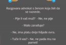 Zašto vas mačka prati svuda (čak i u kupatilo): znak privrženosti, radoznalosti i rutine