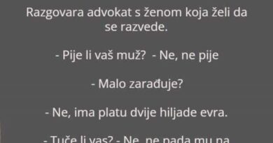 Zašto vas mačka prati svuda (čak i u kupatilo): znak privrženosti, radoznalosti i rutine