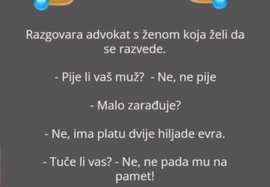 Zašto vas mačka prati svuda (čak i u kupatilo): znak privrženosti, radoznalosti i rutine