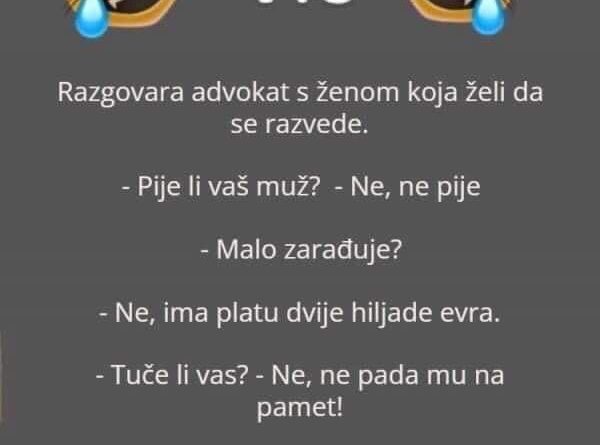 Zašto vas mačka prati svuda (čak i u kupatilo): znak privrženosti, radoznalosti i rutine