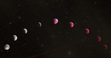 Horoskop za 11. maj 2026: Četiri znaka ulaze u period uspjeha, novih prilika i finansijskog napretka