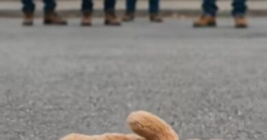 Pas koji je jednim lavežom spriječio tragediju: Na aerodromu otkrivena šokantna tajna u dječijoj igrački