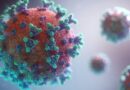 Hantavirus na kruzeru u Atlantskom okeanu: šta se zna o zarazi i koliko je opasna
