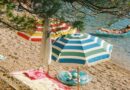 Pas Koji Je Prekinuo Miran Dan Na Plaži I Spasio Jedan Život