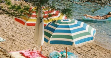 Pas Koji Je Prekinuo Miran Dan Na Plaži I Spasio Jedan Život