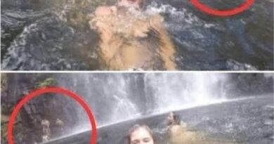Da li zaista vidite sve na prvi pogled? Možda propuštate najvažnije detalje