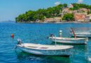 Riba lav sve češće u Jadranu: Šta kupači i turisti treba da znaju o ovoj invazivnoj vrsti