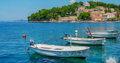 Riba lav sve češće u Jadranu: Šta kupači i turisti treba da znaju o ovoj invazivnoj vrsti
