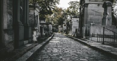 Svetlana otišla na grob svog sina, pa upoznala čovjeka koji je otkrio šokantnu istinu