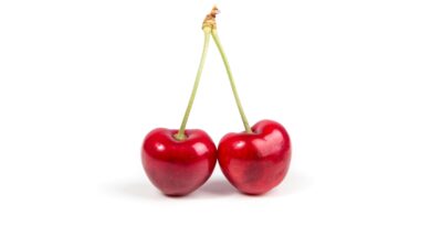 Šta se zaista dešava ako pojedete crvavu trešnju i da li treba da brinete Šta se zaista dešava ako pojedete crvavu trešnju i da li treba da brinete