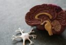 8 znakova upozorenja koje telo može pokazati kada bubrezi nisu u najboljem stanju