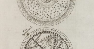 Horoskop Tamare Globe za jun: Mesec velikih promena, novih početaka i važnih odluka