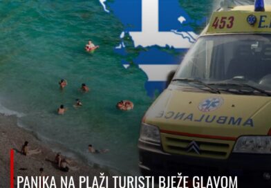 Djevojčica iz Srbije doživjela neugodnu reakciju na plaži u Grčkoj: Stručnjaci upozoravaju na oprez prilikom dodirivanja morskih organizama