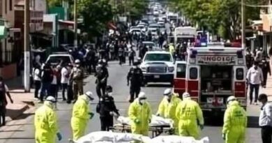 Panika na prepunoj plaži: Spasioci oglasili uzbunu nakon što se velika ajkula približila kupačima Panika na prepunoj plaži: Spasioci oglasili uzbunu nakon što se velika ajkula približila kupačima