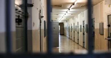 Osumnjičeni predati tužilaštvu: Istraga o navodnom protivpravnom zadržavanju žene i djeteta traje