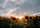 Avgust bi mogao donijeti pozitivne promjene za tri horoskopska znaka, evo šta predviđaju astrolozi