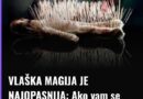 Vlaška magija kroz istoriju: Kako su nastala vjerovanja koja i danas bude radoznalost širom Balkana