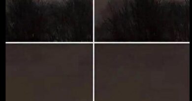 FOTOGRAFIJA KOJA JE PODELILA INTERNET: Čudan prizor pojavio se na nebu iznad mora – jedni vide čudo, drugi imaju sasvim drugačije objašnjenje