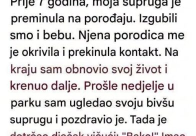 Sedam godina su me krivili za smrt supruge i sina: Jedan susret u parku promenio je sve