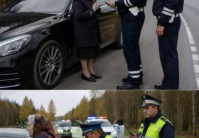Zaustavili su stariju ženu u skupocenom automobilu i stavili joj lisice: Kada je načelnik stigao, salutirao joj je