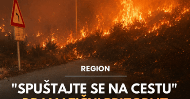 DRAMA NA BRAČU: Veliki požar buknuo usred noći, više od 100 vatrogasaca na terenu, Kanaderi gase vatru iz vazduha