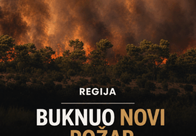 VELIKI POŽAR IZMEĐU NINSKIH STANOVA I ŽERAVE: Vatra zahvatila maslinike i borovu šumu, jaka bura otežava gašenje
