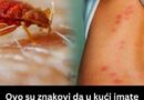 Kako prepoznati stenice u domu: Pet znakova koje ne treba ignorisati i pravilni koraci za njihovo uklanjanje