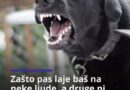 Zašto pas laje na neke ljude, a druge mirno prihvata?