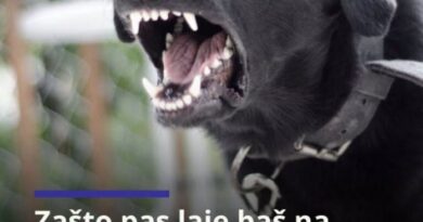 Zašto pas laje na neke ljude, a druge mirno prihvata?