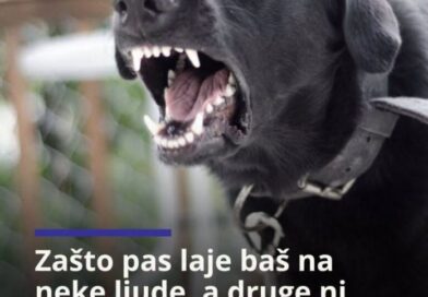 Zašto pas laje na neke ljude, a druge mirno prihvata?