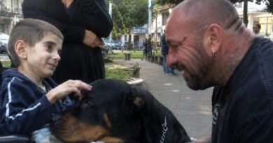 Sedmogodišnji Mateo poželeo je psa na jedan dan: Susret u parku prerastao je u posebno prijateljstvo
